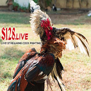 Live Streaming Cock Fighting plakat