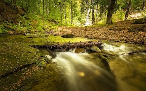 Landscapes Tile Puzzle screenshot 2