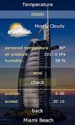 Temperature স্ক্রিনশট 3