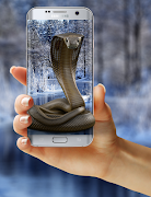 Cobra Snake on Phone Prank 截图 2