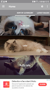 1 Schermata Cute Cats