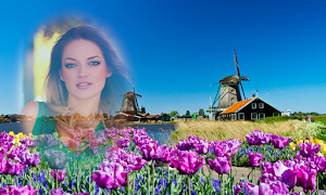 Transparent Photo Frames poster