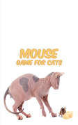 برنامه‌نما Mouse Cat Game عکس از صفحه