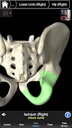 Essential Skeleton 3 imagem de tela 3