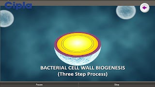 Crifos. syot layar 2