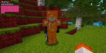 Mod Raiders for Minecraft স্ক্রিনশট 2