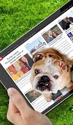 Dog on Screen Simulated screenshot 2