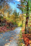2 Schermata Autumn Images