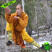 最佳基础少林训练 截图 5