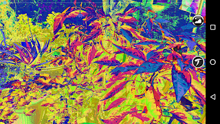 Predator vision تصوير الشاشة 1