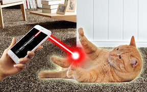 Laser for cat poster