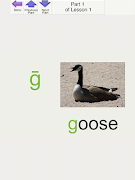 Phonics and Reading II Lite bài đăng