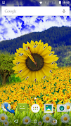 Sunflower Clock Screenshot 1