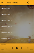 Wind Sounds تصوير الشاشة 4