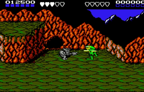 Combat Toads 1 Nes 포스터