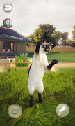 Talking Siamese Cat screenshot 5