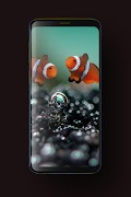 Fish Wallpaper 截图 4