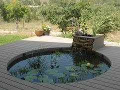 Fish Pond Design Ideas screenshot 2
