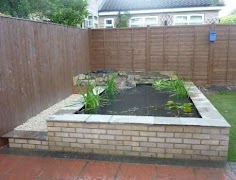 Fish Pond Design syot layar 5