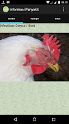 Pakar Ayam ภาพหน้าจอ 5