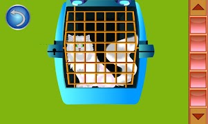 Persian Cat Escape Hidden Obj screenshot 4