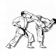 برنامهنما Fighting Techniques عکس از صفحه