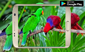 برنامه‌نما HD Selfie_Camera For Panasonic عکس از صفحه