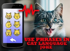 Cat Translator Simulator পোস্টার