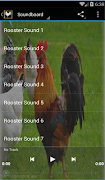 kogut Soundboard plakat