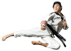 Aprender Taekwondo captura de pantalla 2