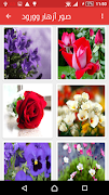 اجمل واروع تشكيله صور ورود بدون نت Ekran Görüntüsü 2