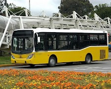 Temas de autobús captura de pantalla 4