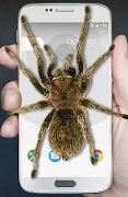 Spider on Screen Simulator screenshot 6