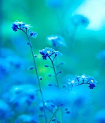 INTEHA E ISHQ by Parivash 스크린샷 1