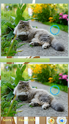2 Schermata Trova Differenza Cat Games