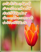 สวัสดียามเช้า  รูปภาพสวัสดี スクリーンショット 3