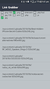 Link Grabber تصوير الشاشة 4