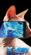 برنامه‌نما Make X-ray photos عکس از صفحه