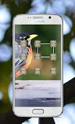 Bird Pattern Lock Screen screenshot 4