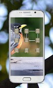 Bird Pattern Lock Screen 截圖 4