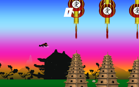 Flying Ninja Affiche