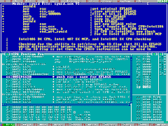 7 Schermata x86 Assembler - Debugger
