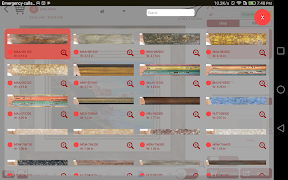 FDSSA captura de pantalla 7