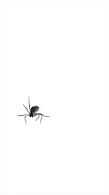 Spider Live Wallpaper 截圖 2