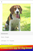 Know Dogs Screenshot 4