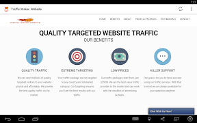 Traffic Maker. Website 截图 1