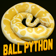 3 Schermata Stormtrooper Ball Python