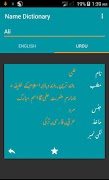 Name Dictionary اسکرین شاٹ 1