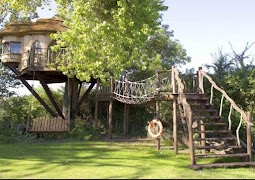 Tree House Design screenshot 3