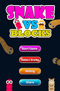 Snake Balls Vs Blocks poster